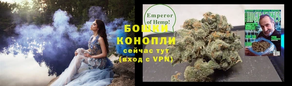гидропоника Новозыбков