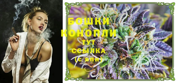 гидропоника Новозыбков