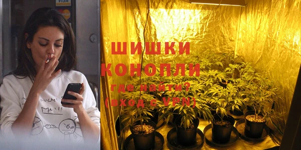 гидропоника Новозыбков