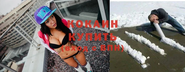 гидропоника Новозыбков