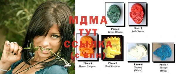 гидропоника Новозыбков